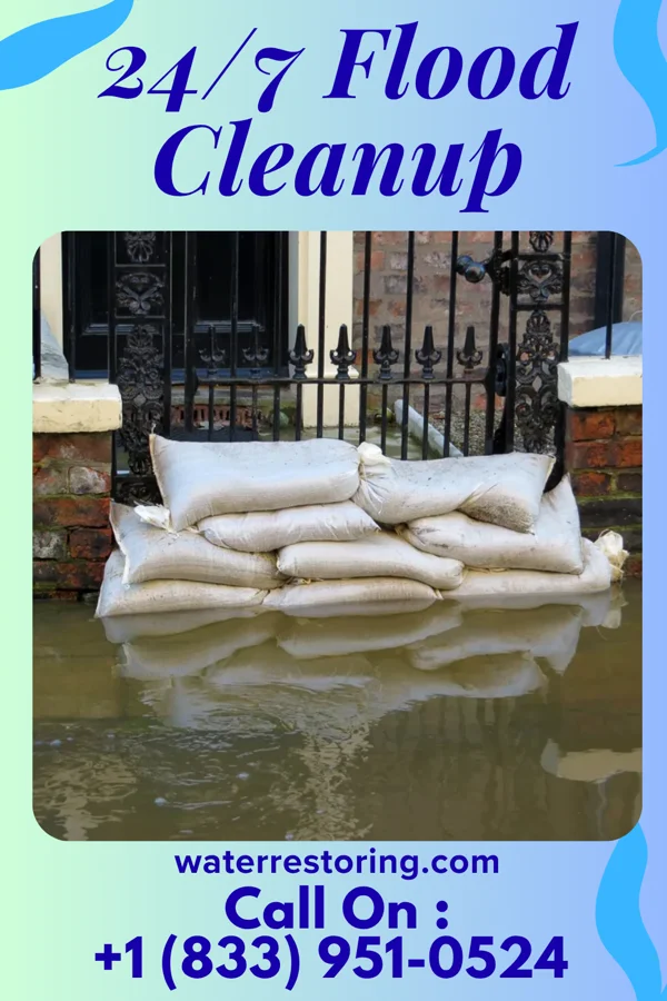24/7 Flood Cleanup in Spring Lake Park, MN