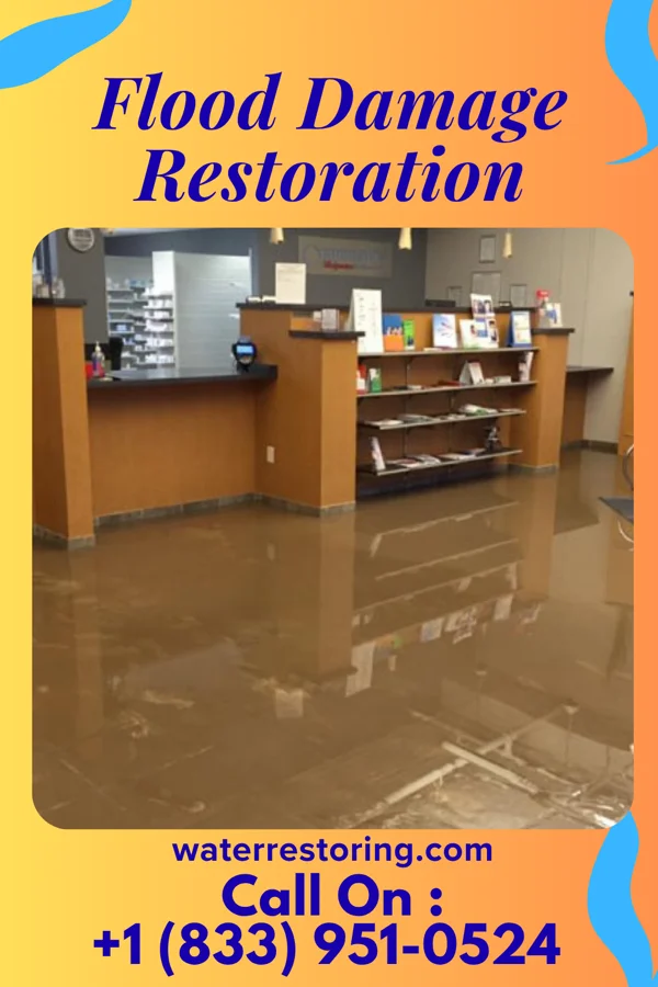 Flood Damage Restoration in Spring Lake Park, MN