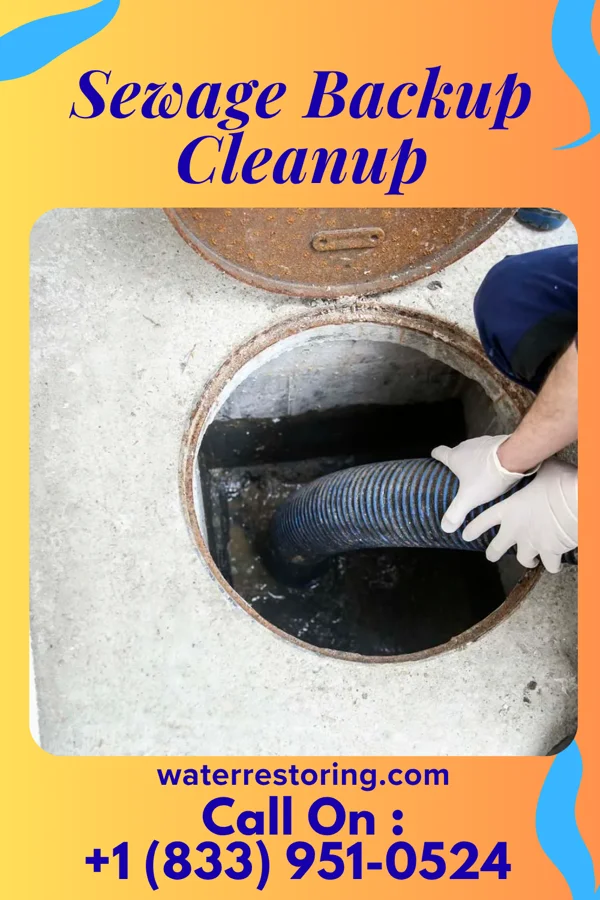 Sewage Backup Cleanup in Spring Lake Park, MN